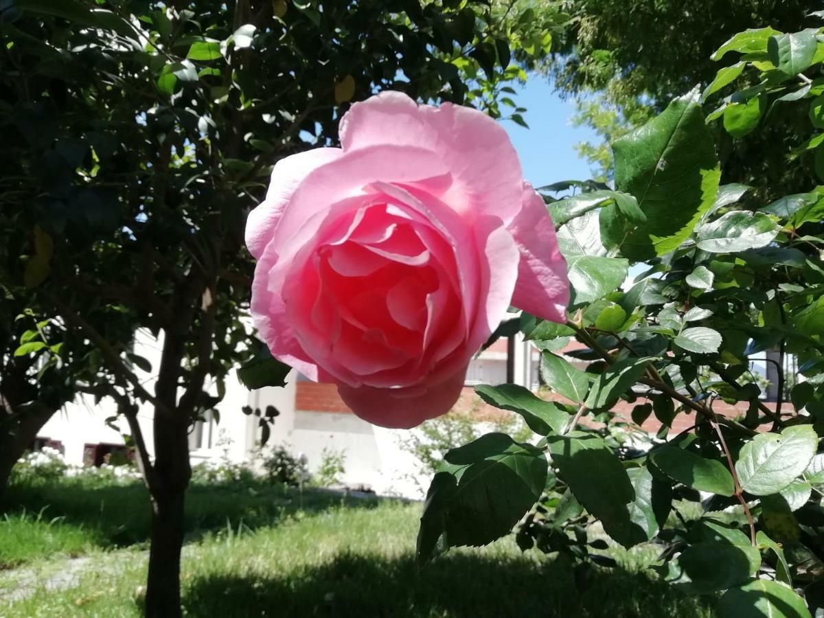 Casa Vacanze Villa Rosetta Dorgali Kültér fotó