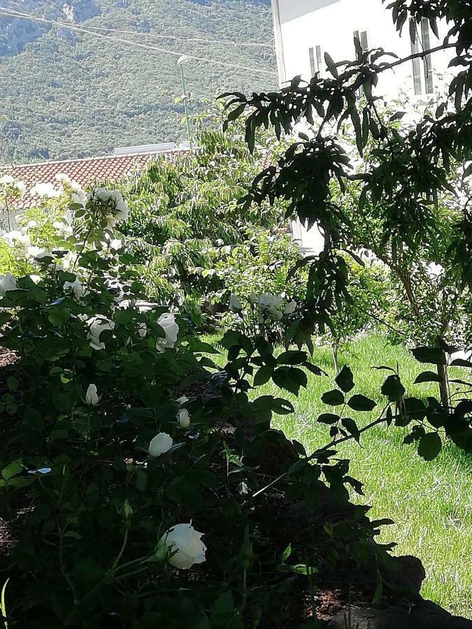 Casa Vacanze Villa Rosetta Dorgali Kültér fotó